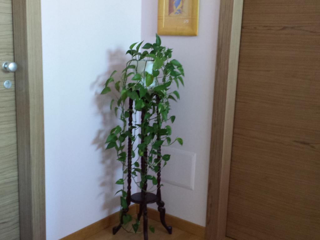 Garden B&B Ареццо Екстер'єр фото